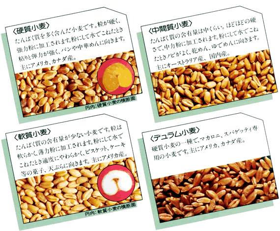 小麦粉の種類と用途
